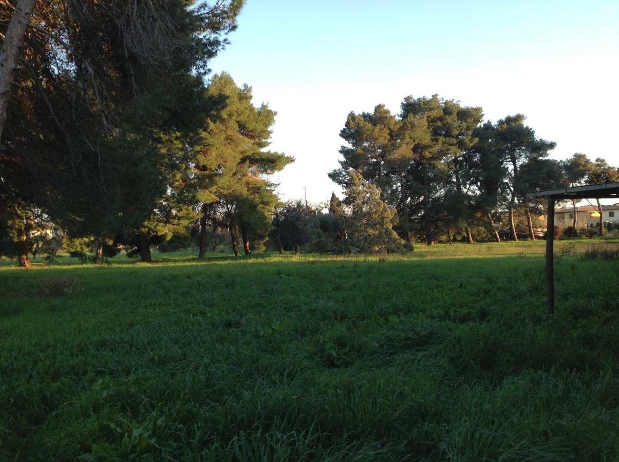 Villa Di Campagna Santa Giulia Карбонифера Экстерьер фото