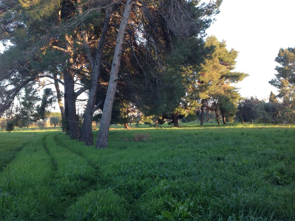 Villa Di Campagna Santa Giulia Карбонифера Экстерьер фото
